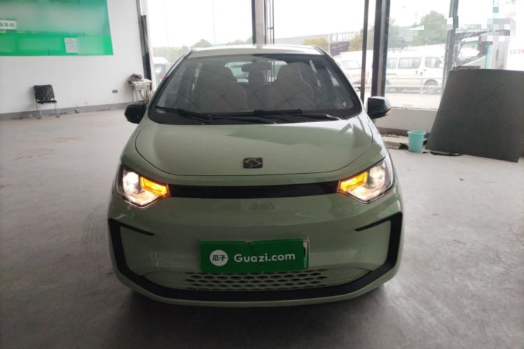 Used SOL E10X 2022 Flower Fairy Design Four-Leaf Clover
