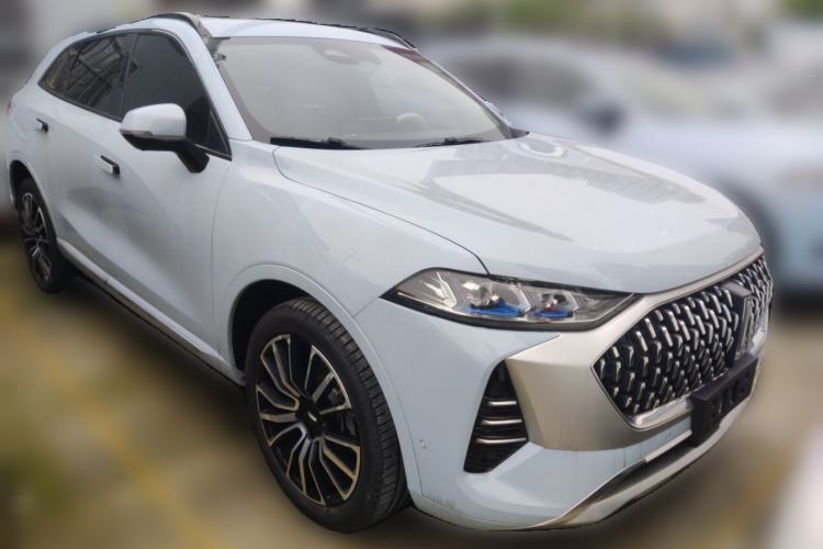 Used Wey Mocha 2021 2.0T Four-Wheel Drive Premium Edition