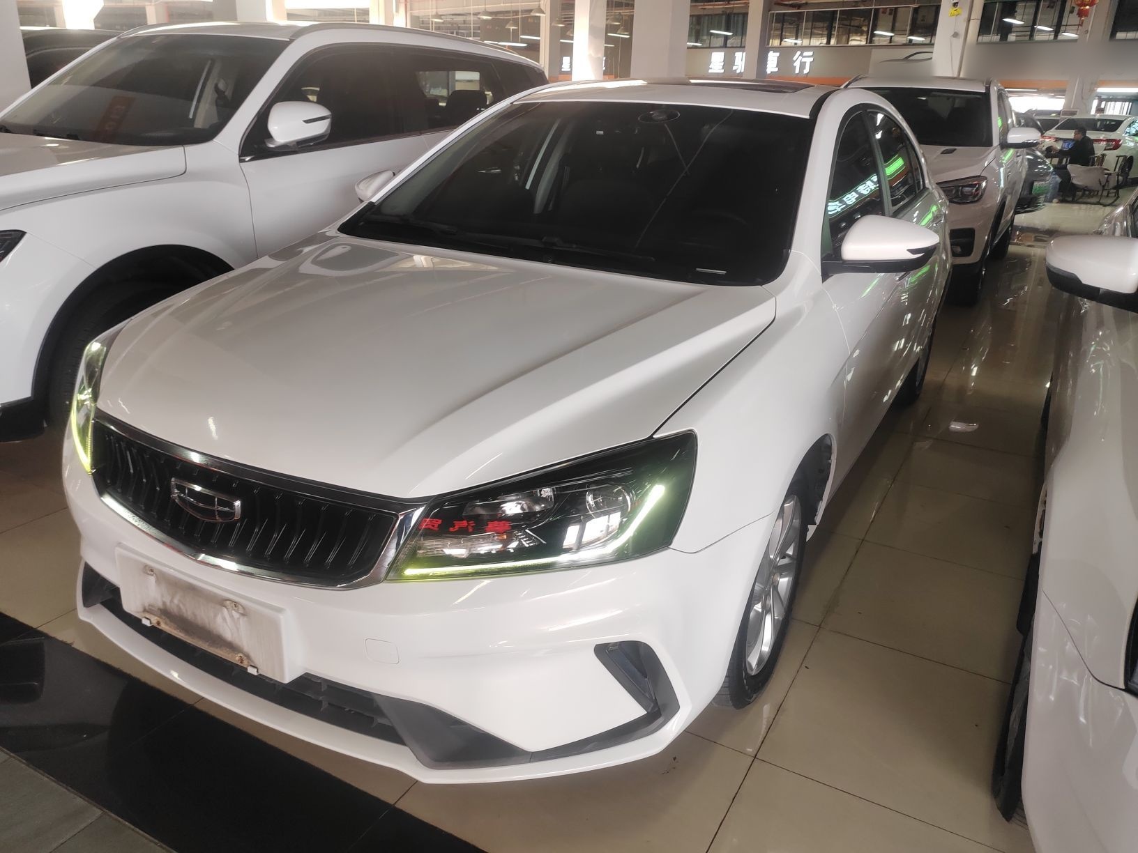 Parte inferior delantera