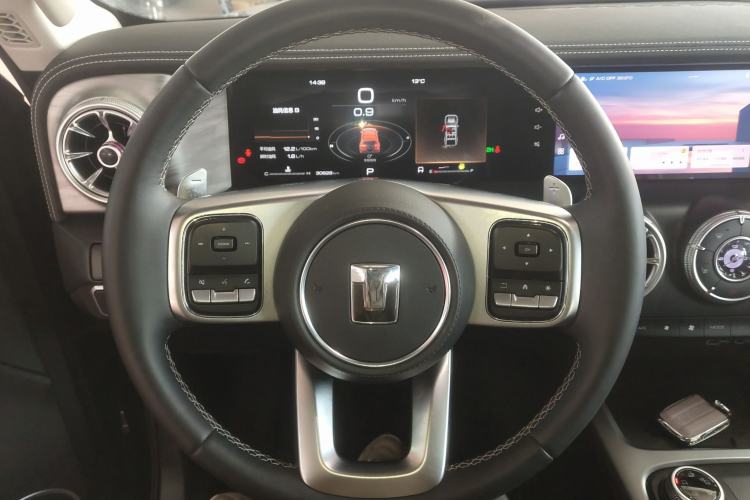 Used Tank 300 2024 2.0T Conqueror