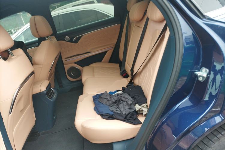 Used VOYAH FREE 2021 Four-Wheel Drive Standard Range-Extended Version
