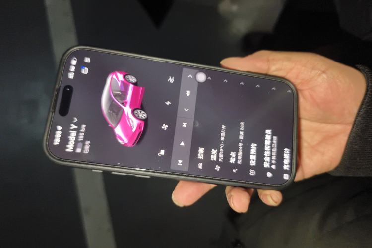 Used Tesla Model Y 2022 Rear-Wheel-Drive Version