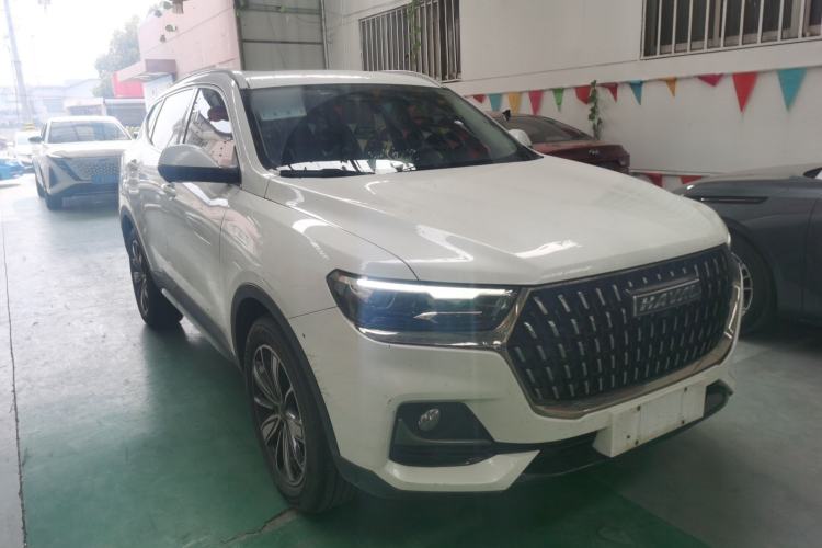 Used Haval H6 2023 National Trend Edition 1.5T Automatic Champion Version
