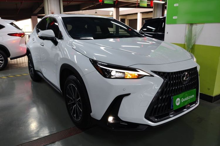 Used Lexus NX 2025 Model 200 FUN