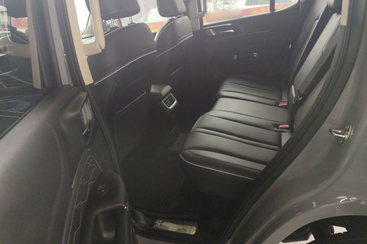 Used Tank 300 2021 City Edition 2.0T—Truly Stylish Left Rear Seat