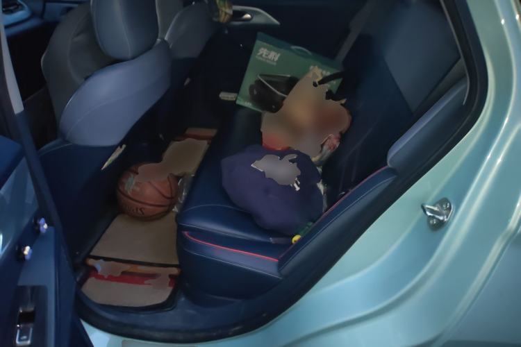 Used Geometry E Firefly 2022 320KM Cute Tiger 4-Seater
