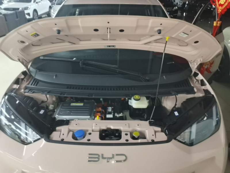 Used BYD Seagull 2025 305km Active Version — 19