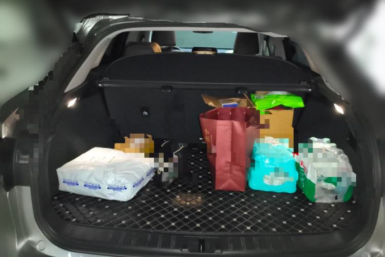 Used Lexus RX 2021 300 Four-Wheel Drive Special Edition