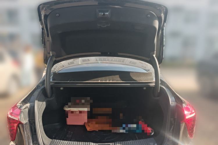 Used Hongqi H5 2024 2.0T Automatic Smart Connect Flagship Edition Trunk