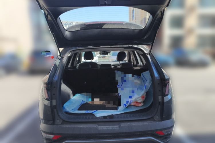 Used Hyundai Tucson 2021 Tucson L 1.5T DCT Luxury Prestige Edition Trunk