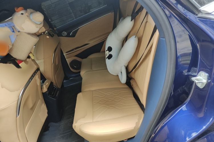 Used VOYAH FREE 2021 Four-Wheel Drive Standard Range-Extended Exclusive Luxury Package Left Rear Seat