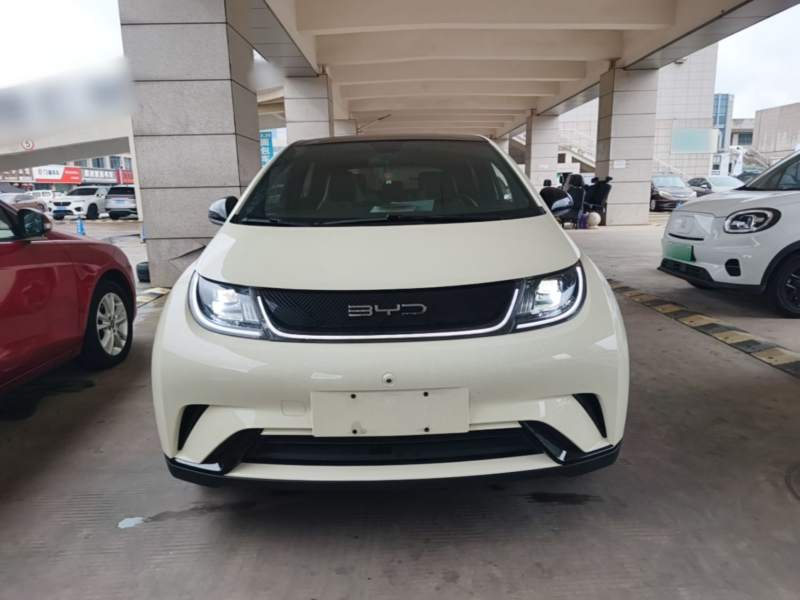 Used BYD Dolphin 2021 405 km Fashion Edition — 2