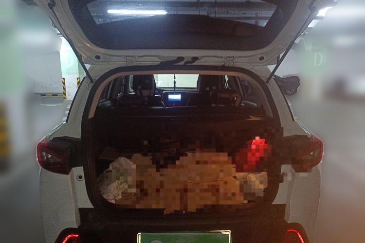 Used AION Trumpchi GE3 2018 530 Internet Enjoyment Version
