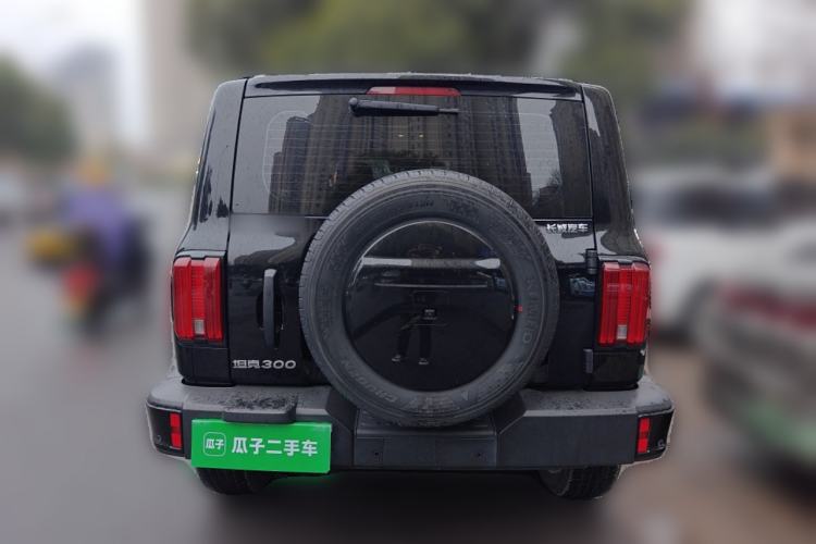 Used Tank 300 2024 2.0T Conqueror