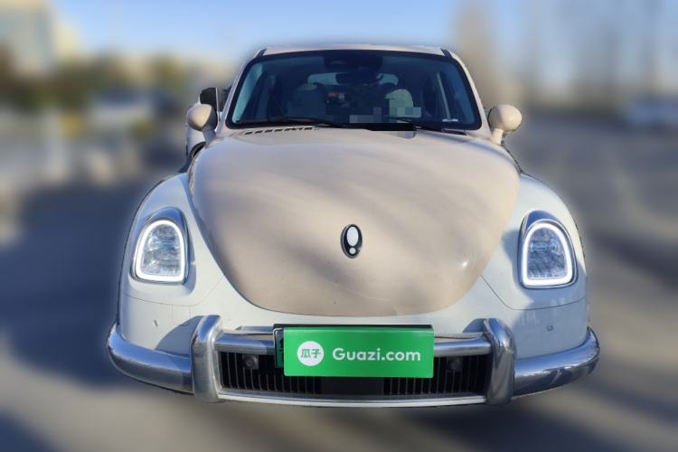 Used ORA Ballet Cat 2023 401 km Luxury Version
