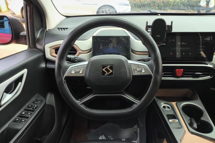 Used SOL E10X 2022 Flower Fairy Design Four-Leaf Clover