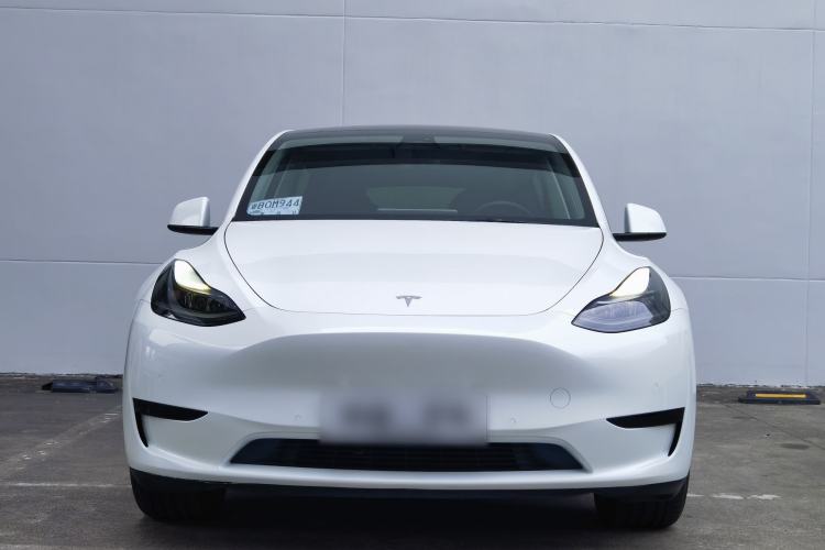 Used Tesla Model Y 2021 Standard Range Rear-Wheel Drive Version