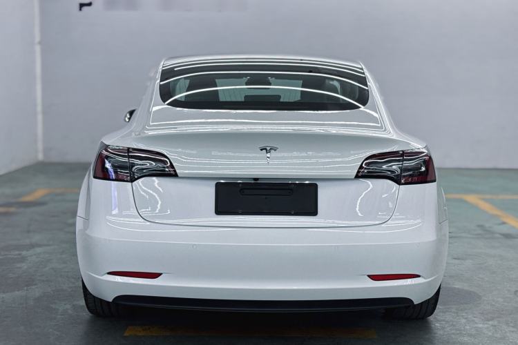 Used Tesla Model 3 2019 Standard Range Rear-Drive Upgraded Version Exterior 2