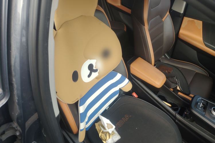 Used BYD e2 2020 Upgraded Version Long-Range Edition Luxury Model Right Front Seat