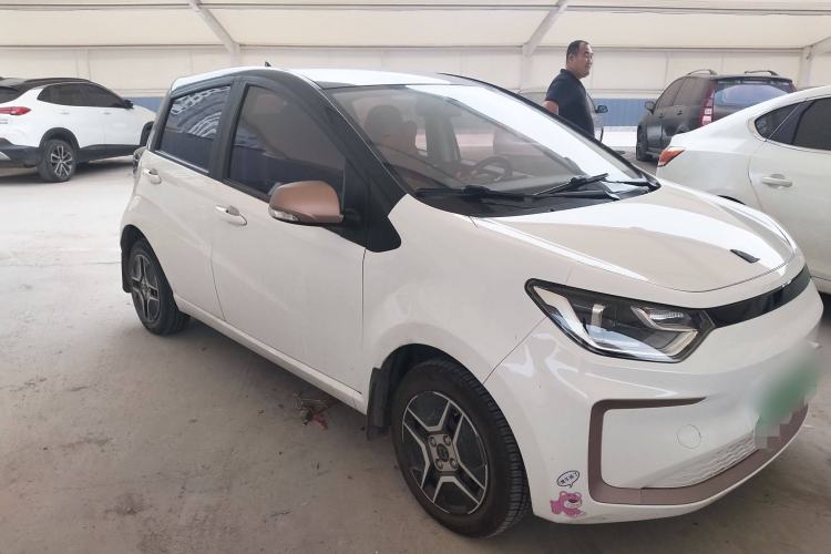 Used SOL E10X 2022 Flower Fairy Design Four-Leaf Clover