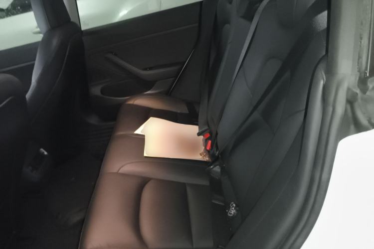 Used Tesla Model 3 2020 Revised Version Standard Range Rear-Wheel Drive – Upgraded Edition
