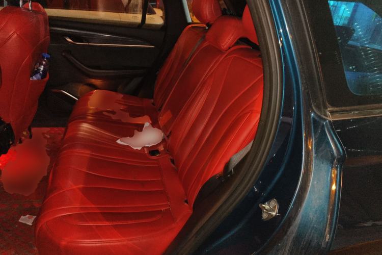 Used Geely Auto Monjaro L 2021 2.0TD DCT EVO Two-Wheel Drive Prestige Version
