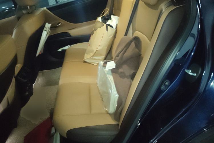 Used Lexus ES 2020 300h Premier Edition Left Rear Seat