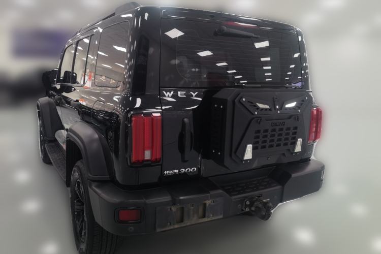 Used Tank 300 2021 2.0T Monet Tribute Limited Edition Rear Left 45 Deg