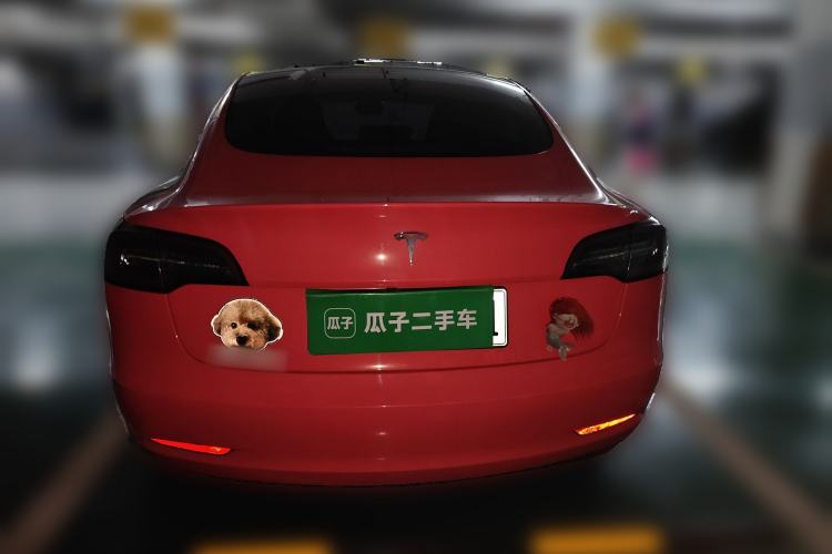 Used Tesla Model 3 2020 Standard Range Rear-Wheel Drive Upgraded Version