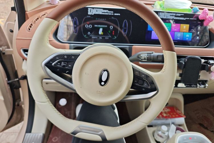 Used ORA Good Cat 2021 400km Standard Range Athena Edition Lithium-Ion Battery
