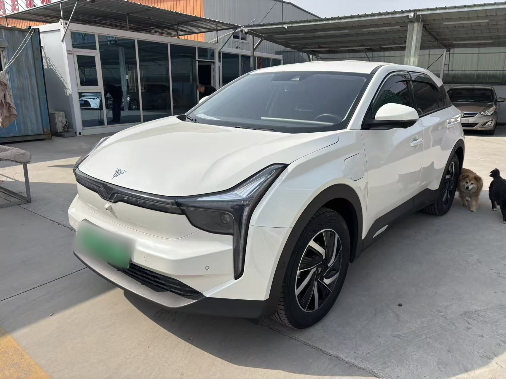 Parte inferior delantera