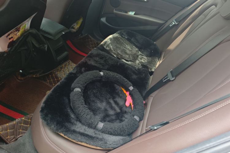 Used BMW 1 Series 2020 120i M Sport Package Left Rear Seat