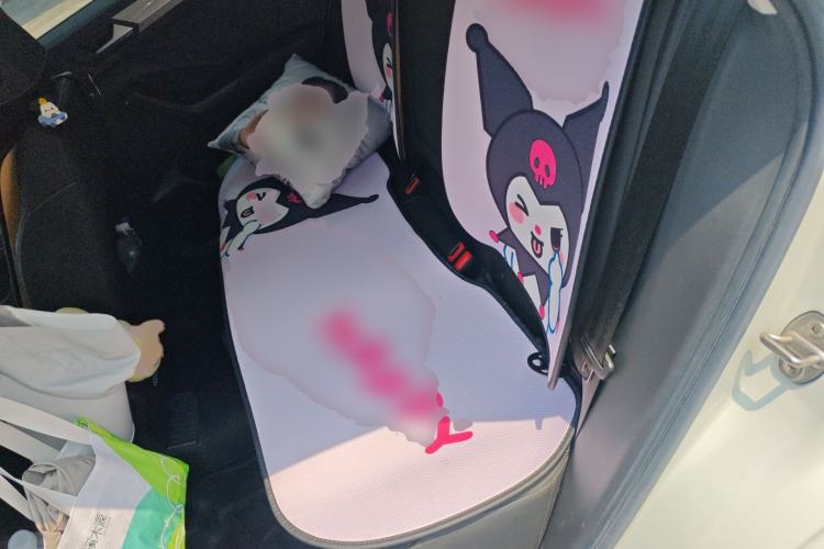 Used Volkswagen T-ROC 2022 280TSI DSG Two-Wheel Drive Elite PLUS Left Rear Seat