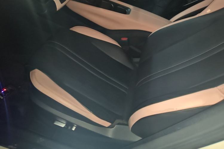 Used BYD Seagull 2023 Flying Edition Left Front Seat