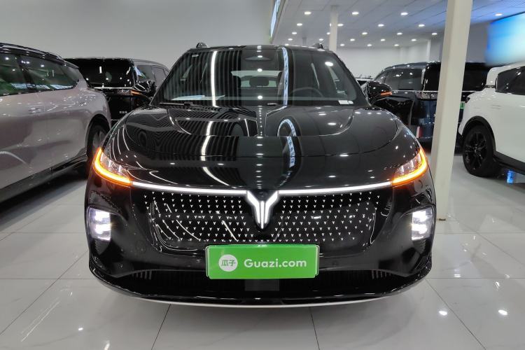 Used VOYAH COURAGE 2024 Four-Wheel Drive Global Edition
