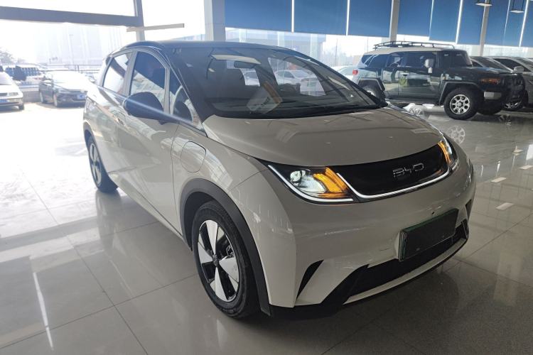 Used BYD Dolphin 2024 Honor Edition 420km Freedom Version
