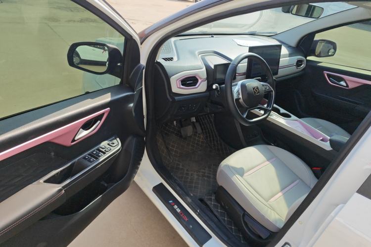 Used SOL E10X 2022 Flower Fairy Design Sunflower