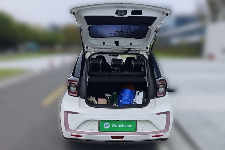 Used SOL E10X 2022 Flower Fairy Style Baby's Breath