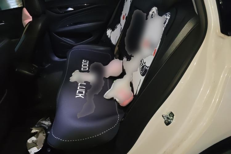 Used Buick Regal 2024 25T Deluxe Edition
