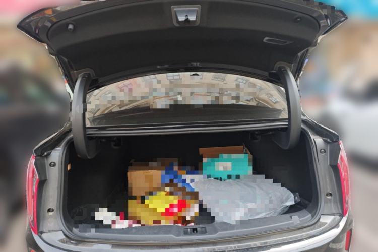 Used Hongqi E-QM5 2023 620km PLUS Trunk