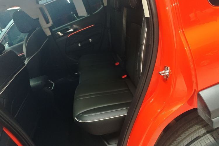 Used Tank 300 2024 2.0T Conqueror
