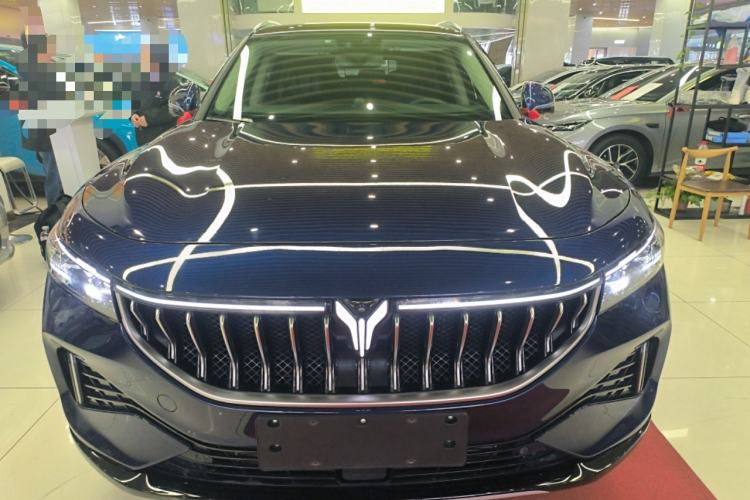 Used VOYAH FREE 2021 Four-Wheel Drive Standard Range-Extended Exclusive Luxury Package
