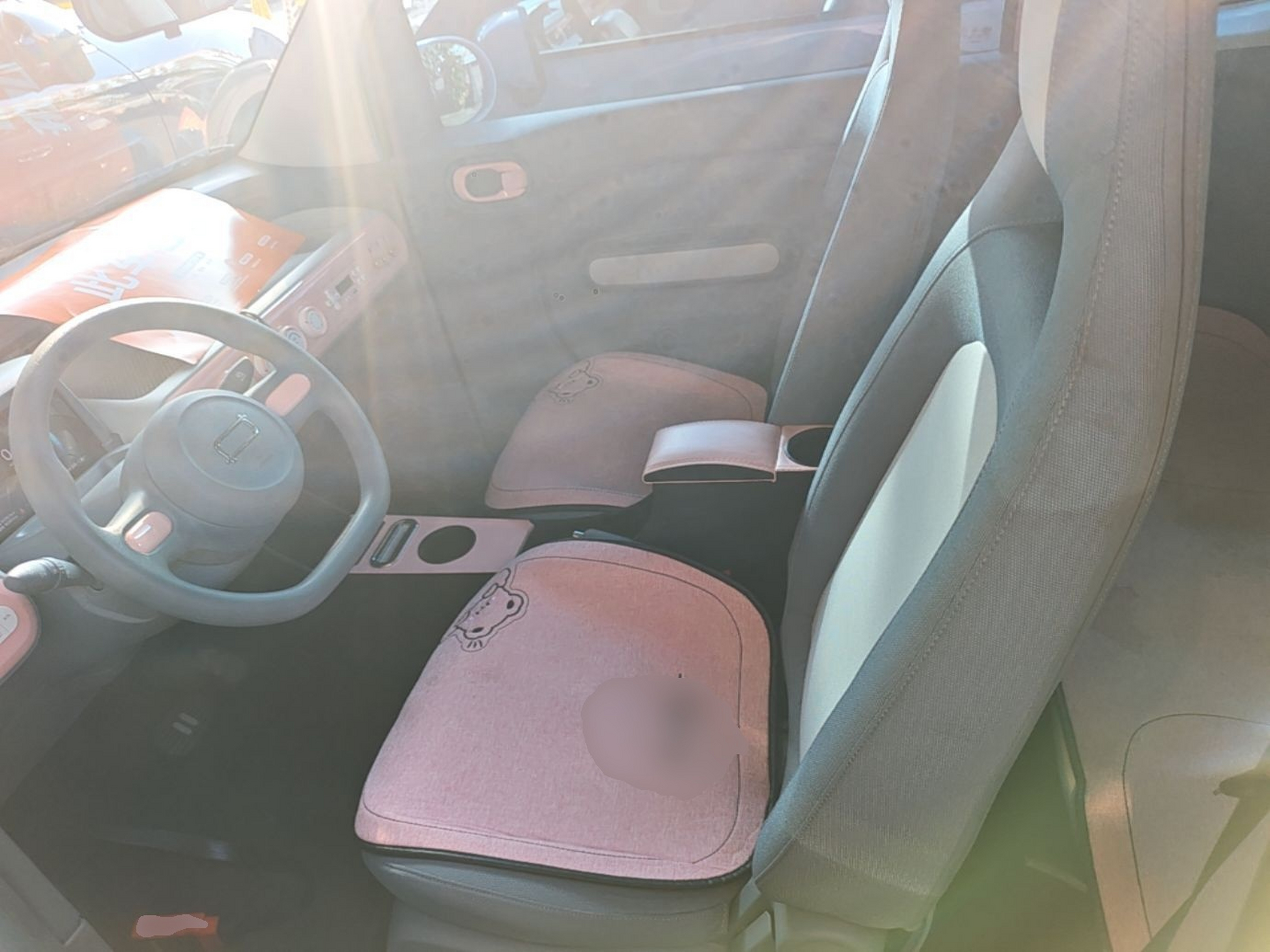 Interior delantero
