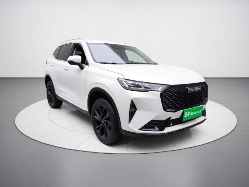 Used Haval H6 2021 3rd Generation 2.0T Automatic Two-Wheel Drive Max — 3