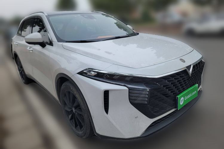 Used Venucia V 2021 260T Tianwang Edition
