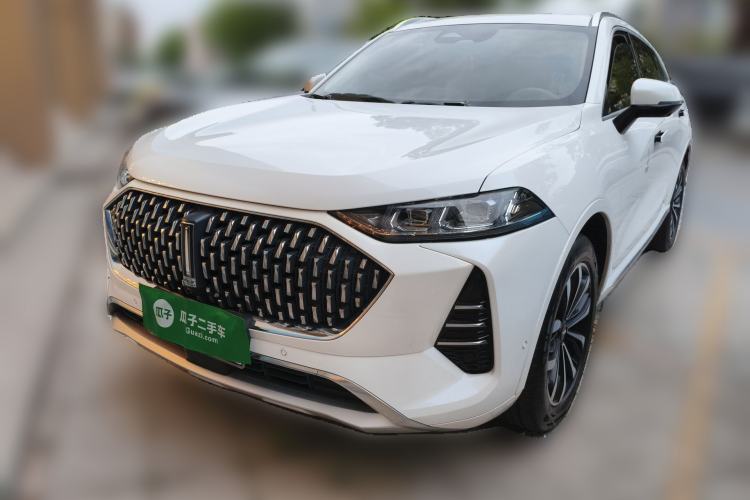 Used Wey Mocha 2021 2.0T Two-Wheel-Drive Ultra-Strong Version