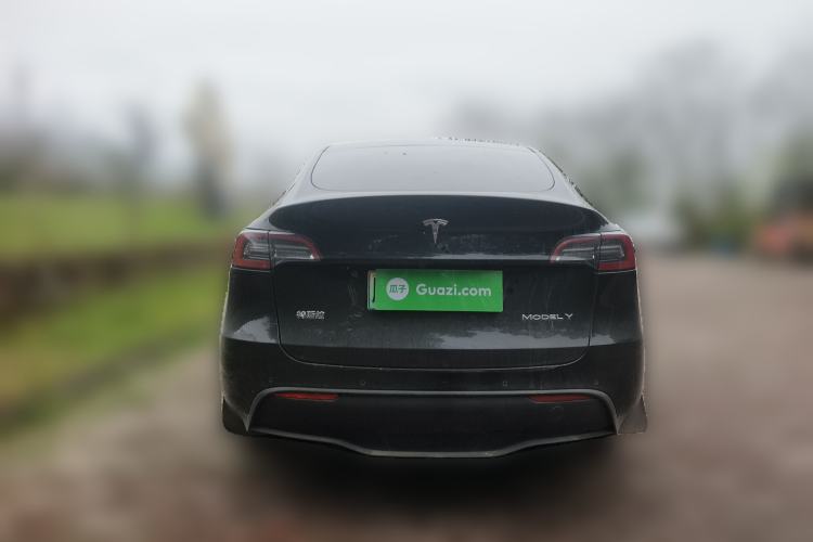 Used Tesla Model Y 2021 Standard Range Rear-Wheel Drive Version
