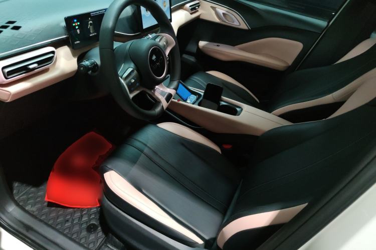 Used BYD Seagull 2025 305km Active Version Left Front Seat