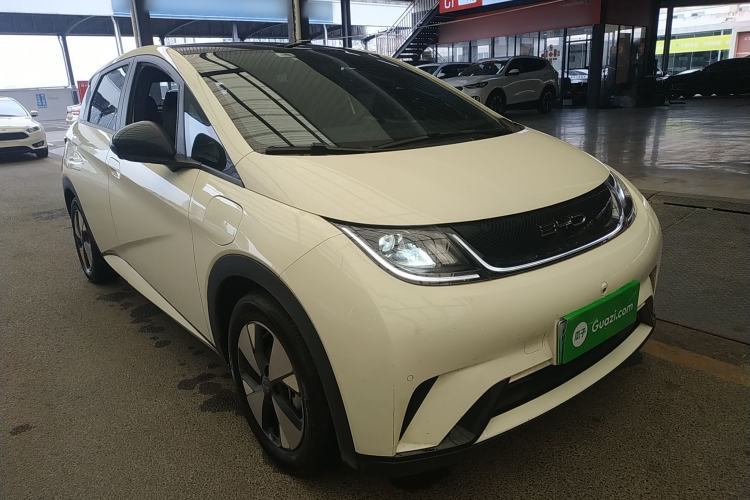 Used BYD Dolphin 2023 420 km Fashion Edition
