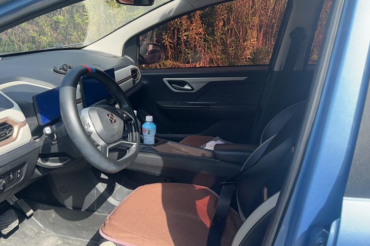 Used SOL E10X 2022 Flower Fairy Design Four-Leaf Clover